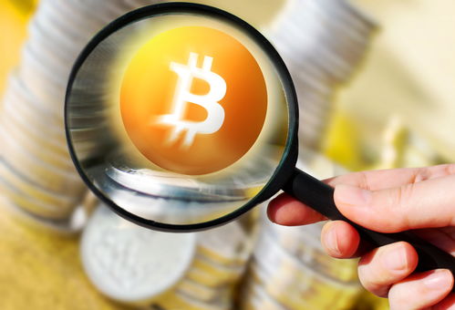 A high-performance Bitcoin mining rig set up for maximum efficiency